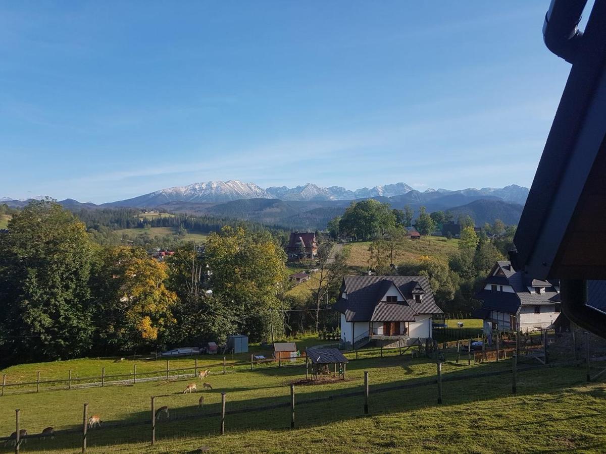 Apartamenty Gorska Mila Apartzakop Zakopane Ngoại thất bức ảnh